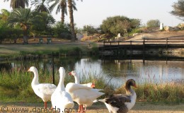 פארק הפסלים ספיר